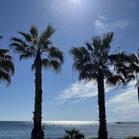 La Tropicale * 托雷维耶哈